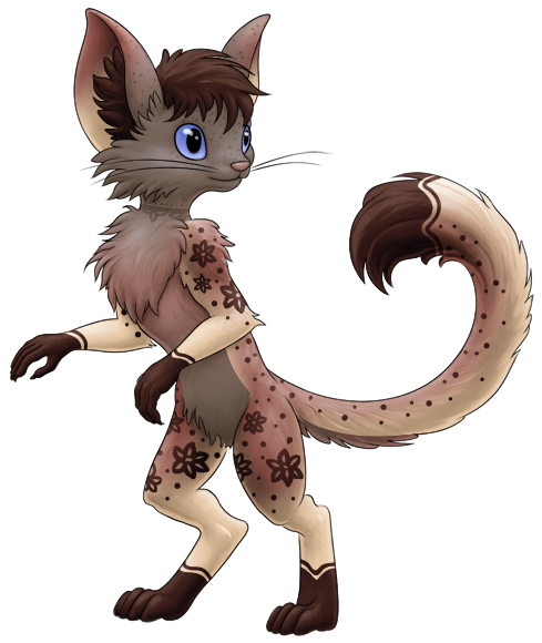 Java [Cinnamon + Caramel] | Xanje