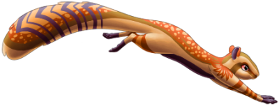 Hazelnut Squirrel, stage 3