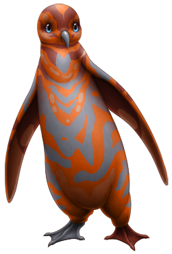 West Peterra Striped Surfee, stage 4