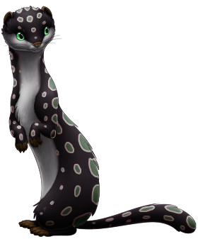 Carasican Jungle Ferret, stage 3