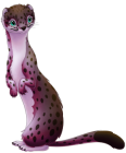 Great Spotted Ferret, stage 1