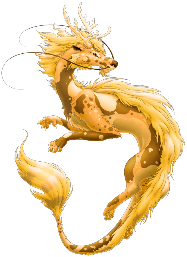 G1 [m] Golden Perch | Xanje