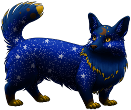 Starry Night Corgi, stage 3